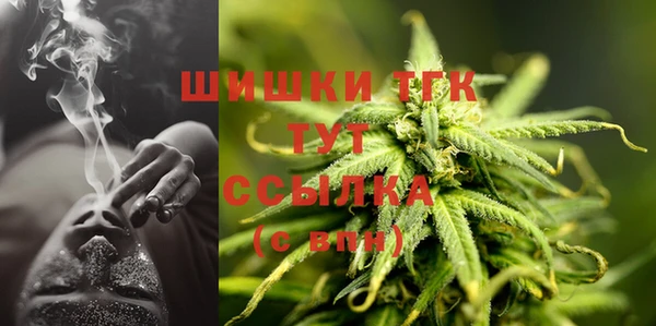 мдпв Краснотурьинск