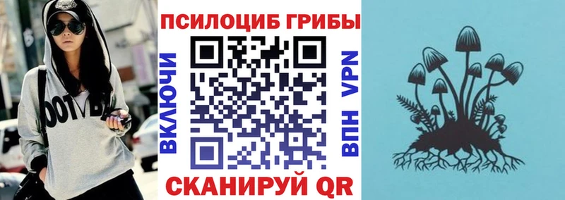 гидра сайт Таштагол Галлюциногенные грибы Psilocybine cubensis