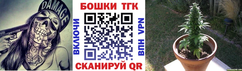 Бошки марихуана план  где найти   Таштагол 